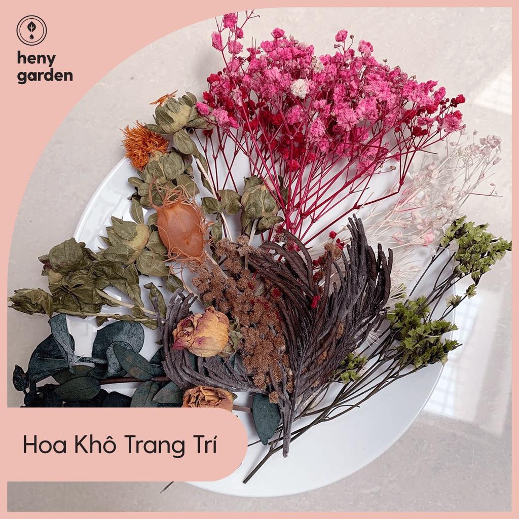 Hoa Trang Trí Nến Thơm Decor Nguyên Liệu Tự Làm Nến Tại Nhà Heny Garden