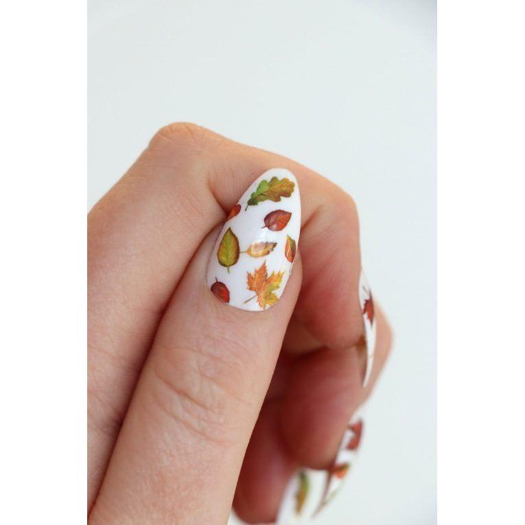 Sticker nails lá phong - hình dán móng 3D