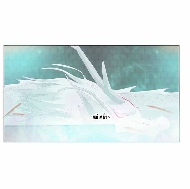 tướng quân mời ra trận chapter 77 5