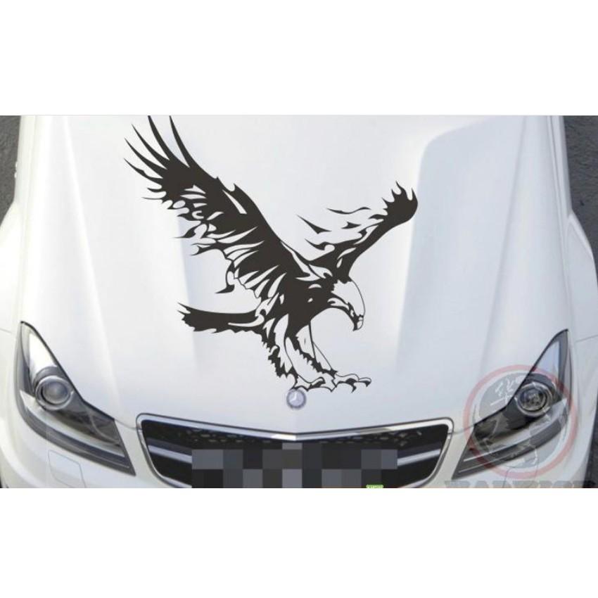Decal Hình Đại Bàng Dán Xe