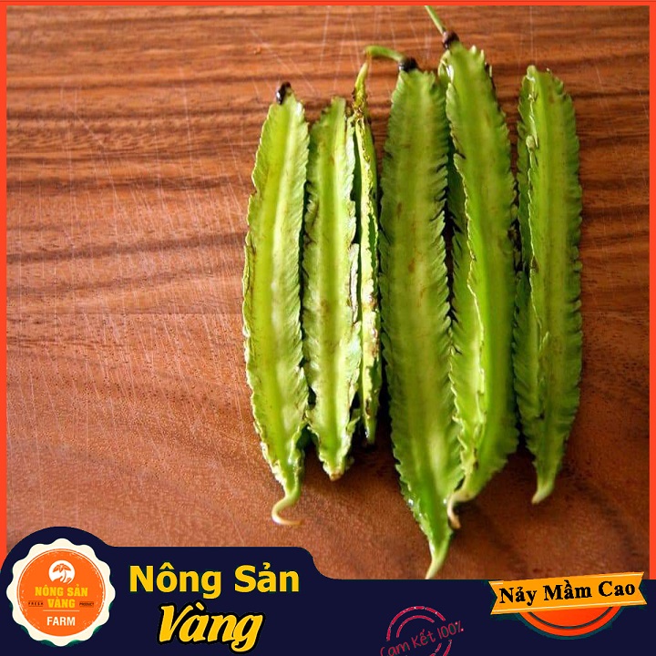 Hạt giống Đậu Rồng - Nông Sản Vàng