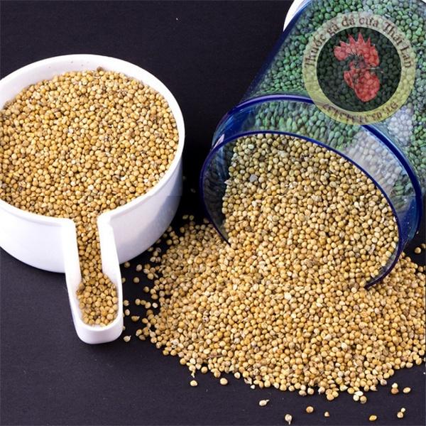 Bình nước , bình thức ăn tự động