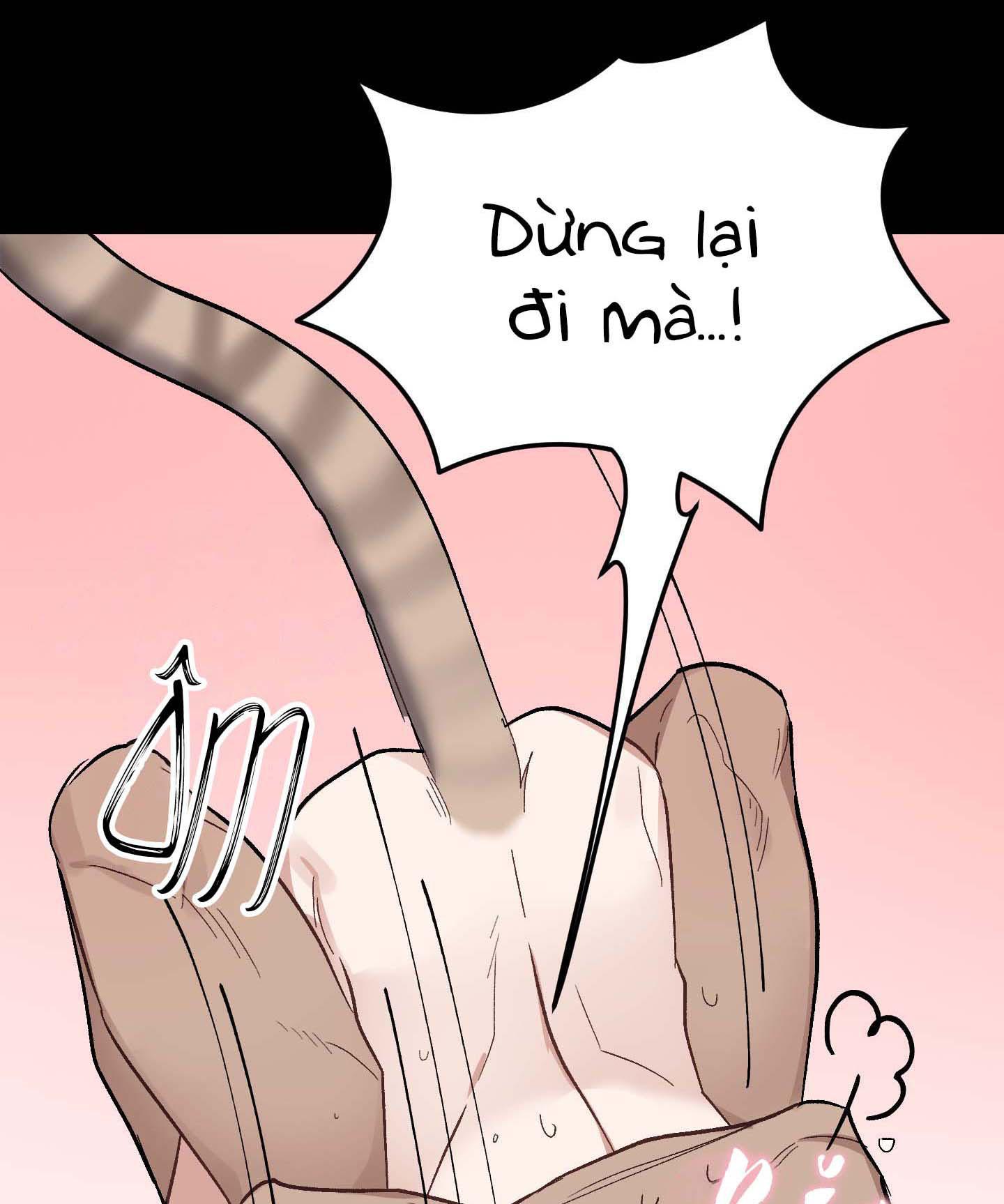 thỏ nhỏ xuất tinh trong 3 giây chapter 5 26