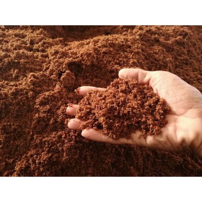 XƠ DỪA MỊN TƠI BỊCH 250G
