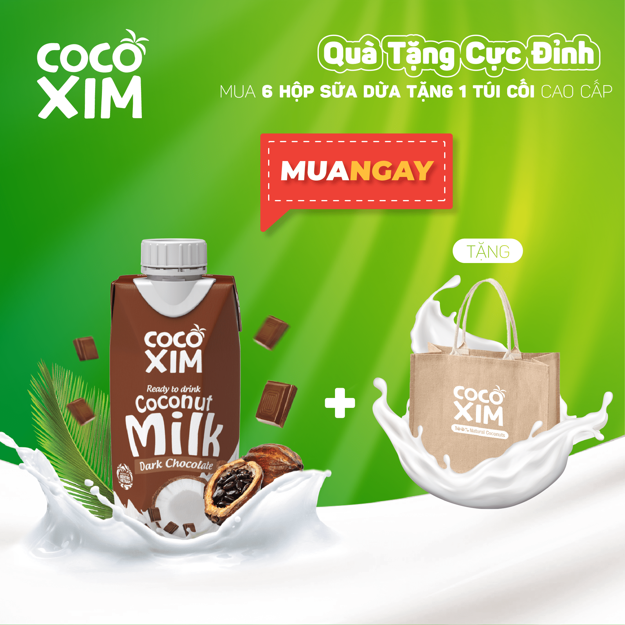 Combo 6 Hộp Sữa Dừa Cocoxim Socola 330ml/hộp