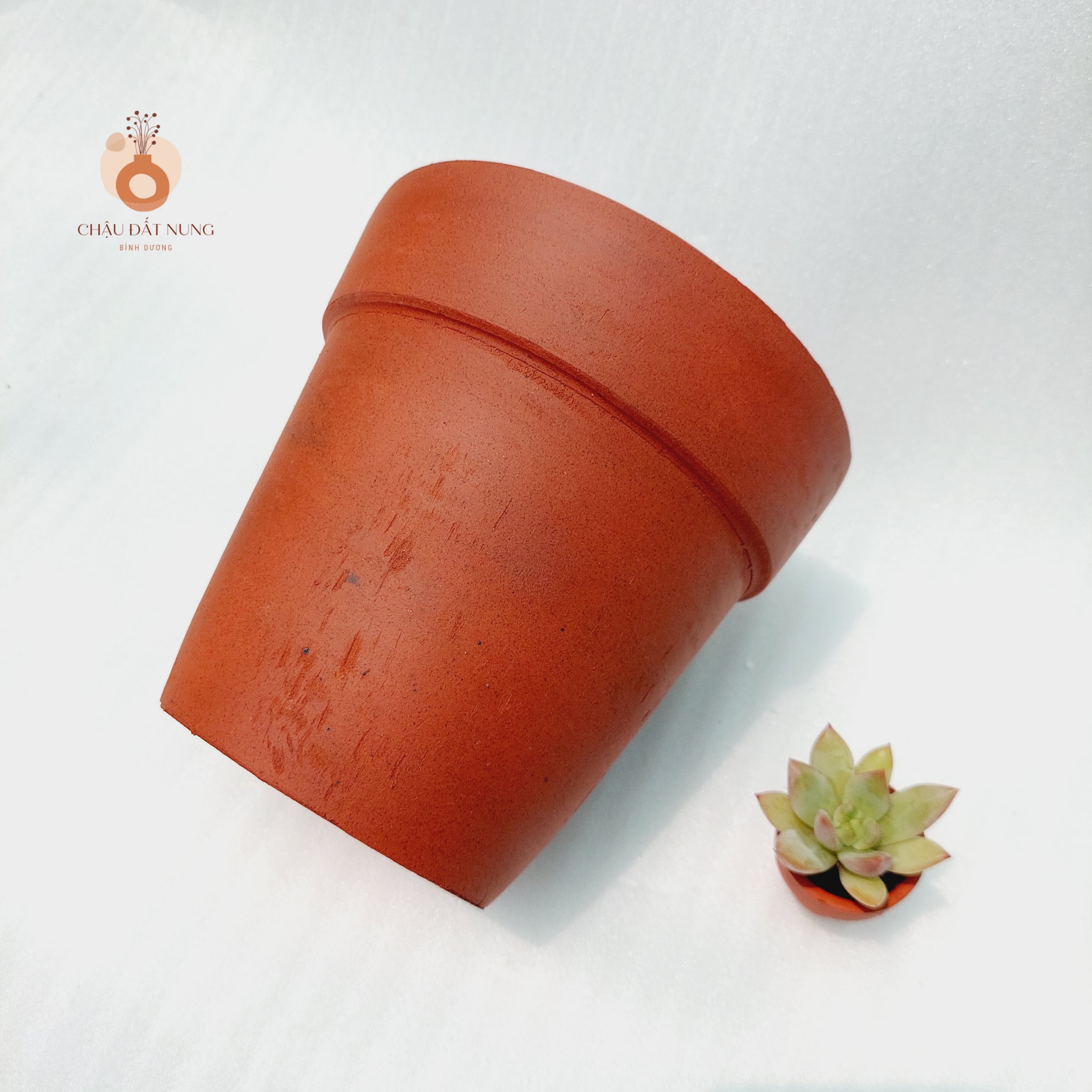 Chậu đất nung, chậu sen đá - Ly gờ 1414, miệng châu 14-18.5cm chiều cao 14-16cm