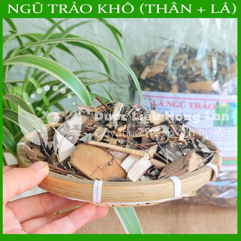 Lá Cây Ngũ Trảo khô sạch đóng gói 1kg