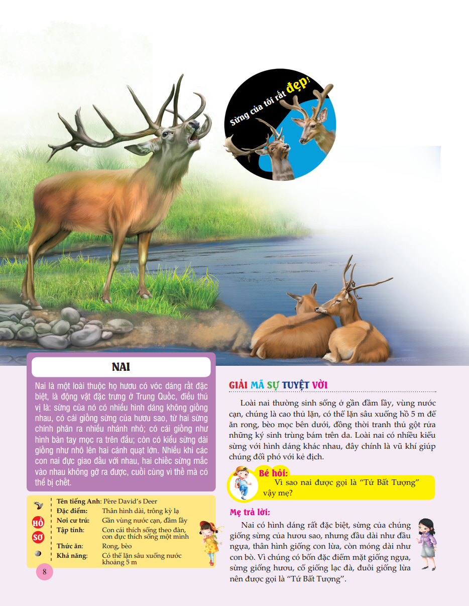 Bách Khoa Toàn Thư Tìm Hiểu Về Trái Đất - Thế Giới Động Vật (Tái Bản 2023)