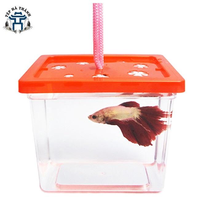 Hộp Nhựa, Hũ Đựng Cá Betta - Cốc Nuôi Cá Mini Trang Trí