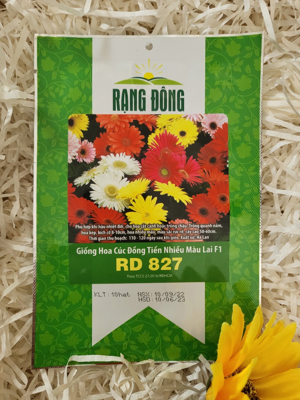 Hạt giống hoa cúc đồng tiền nhiều màu lai F1 RD 827 gói 10 hạt