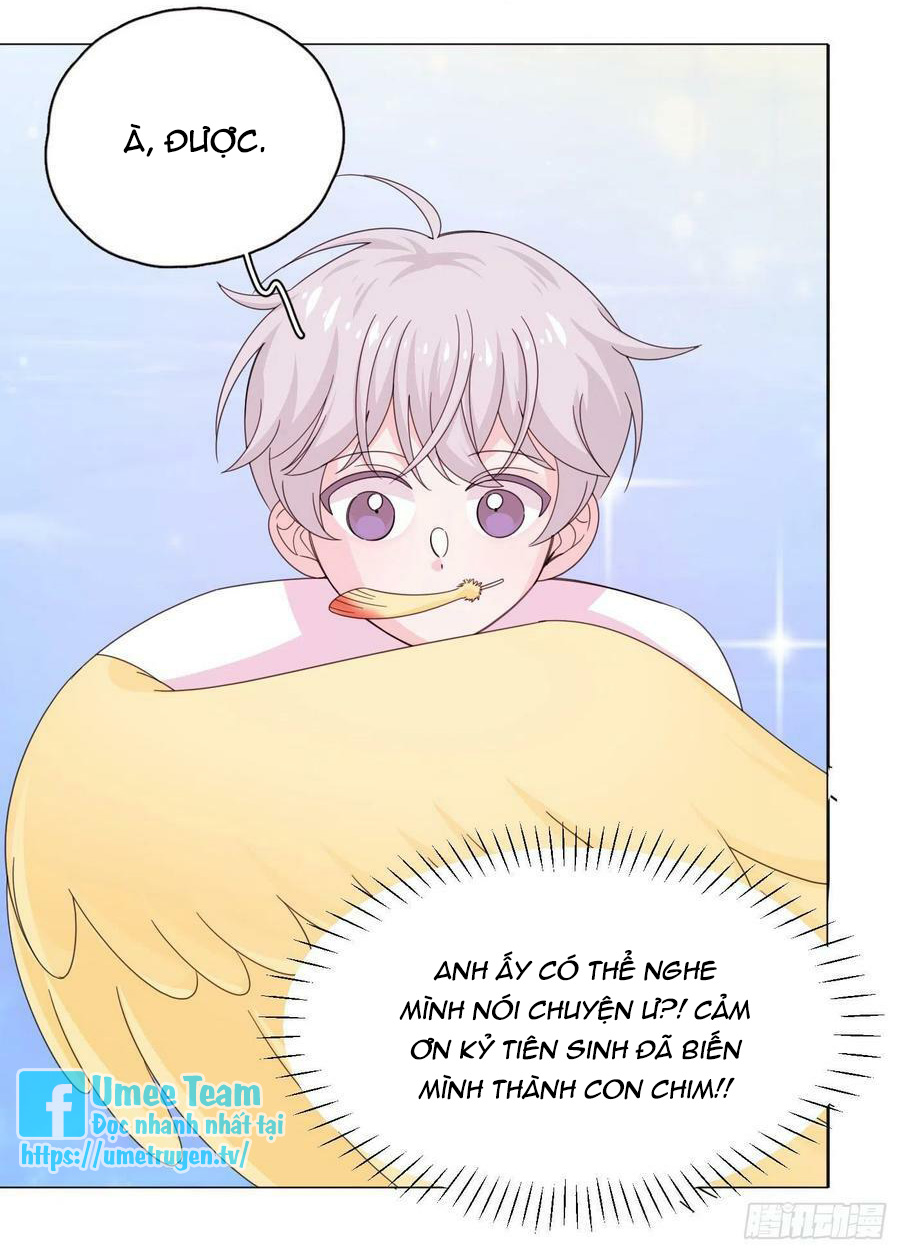 nhất hoàng cửu công thập nhị thê chapter 73 36