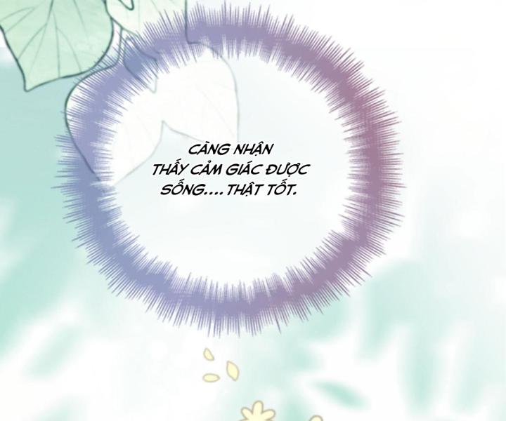 lăn đi, tiên sinh lười biếng chapter 3 13