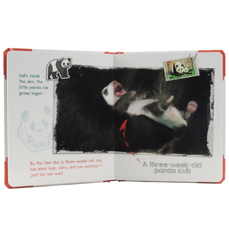 Sách ngoại văn: Active Minds Explorers - Meet Baby Panda