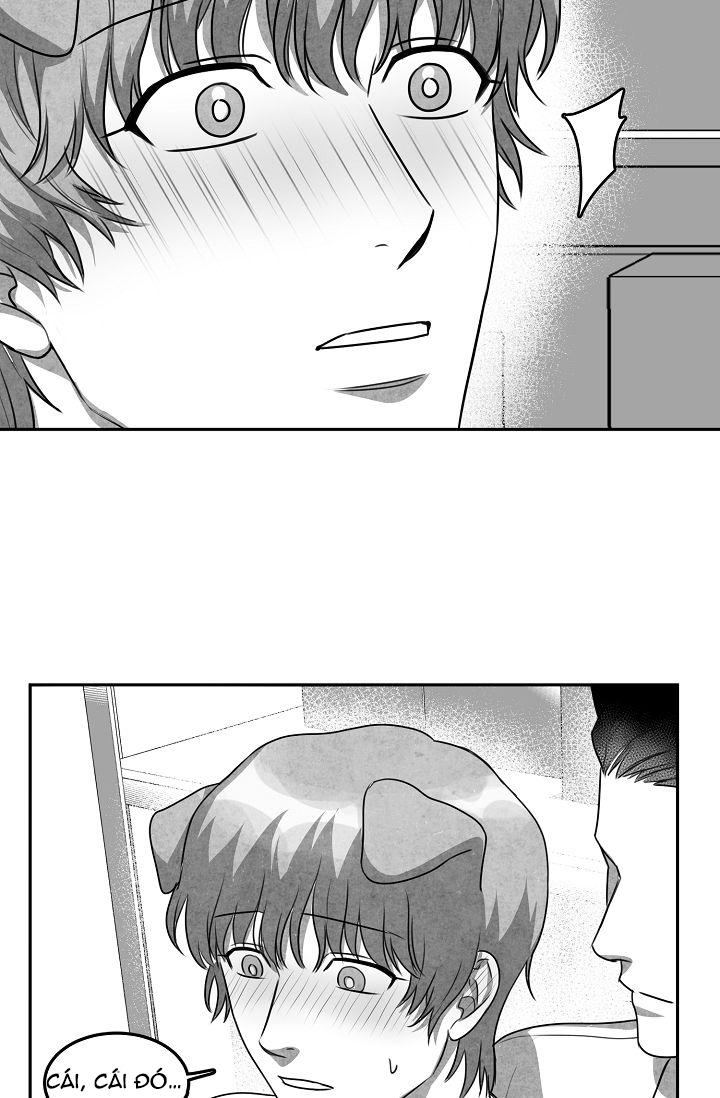 khi cún biết yêu chapter 8 27