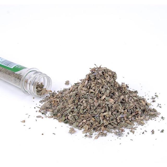 Cỏ bạc hà catnip cho mèo