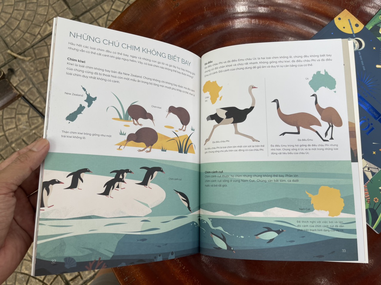 Combo 3 cuốn TUNG CÁNH TRONG KHÔNG TRUNG (Cất cánh cùng côn trùng - Bay lượn với chim muông - Con người chinh phục bầu trời) - Beauty of Science – Keng dịch - NXB Kim Đồng (bìa mềm - in màu toàn bộ)