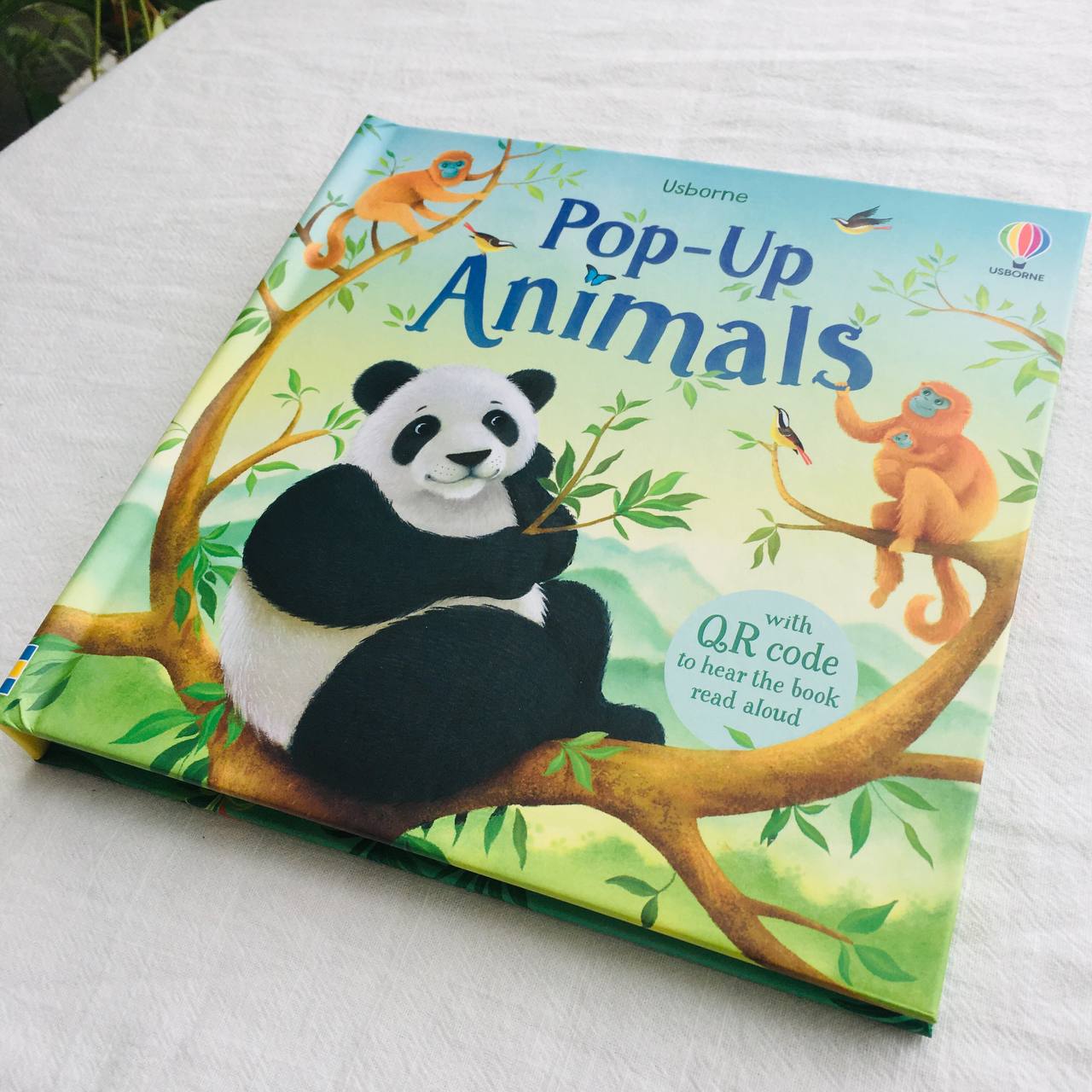 Tuyển tập sách tương tác tiếng Anh Usborne Pop-up books | sách dựng hình 3D