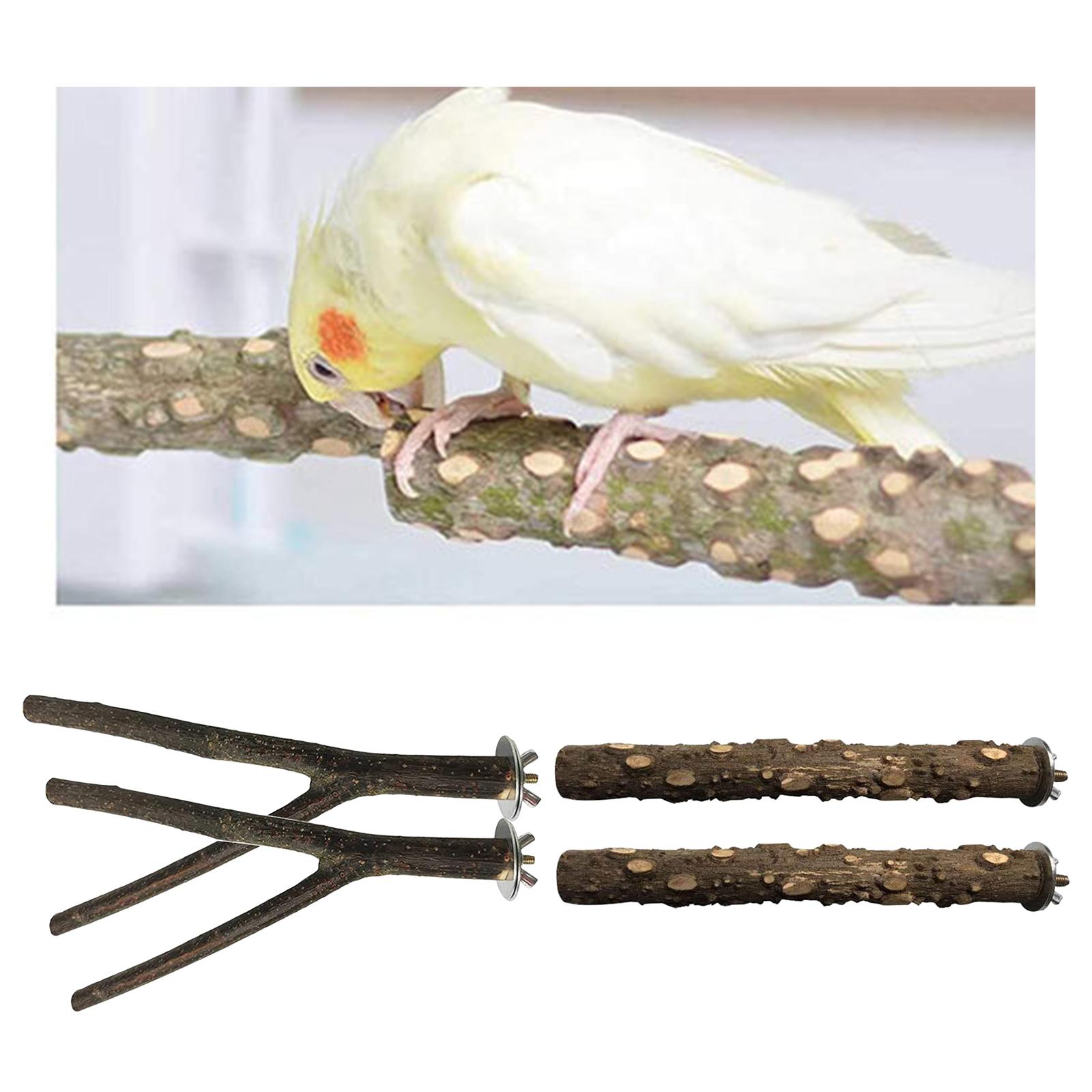 4 Pack Wooden Hanging Parrot Bird Stand Tree Branch Toys Perch Standing