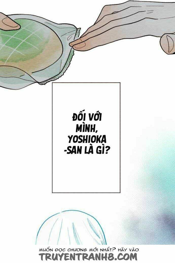 koe koi chapter 14 44