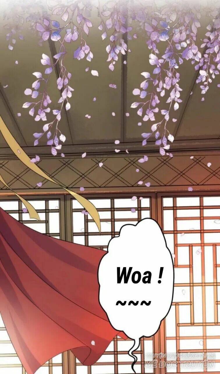 theo đuổi hoàng tử quá khó a~ chapter 50 6