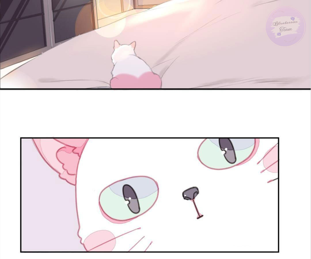 social cat chapter 1 15