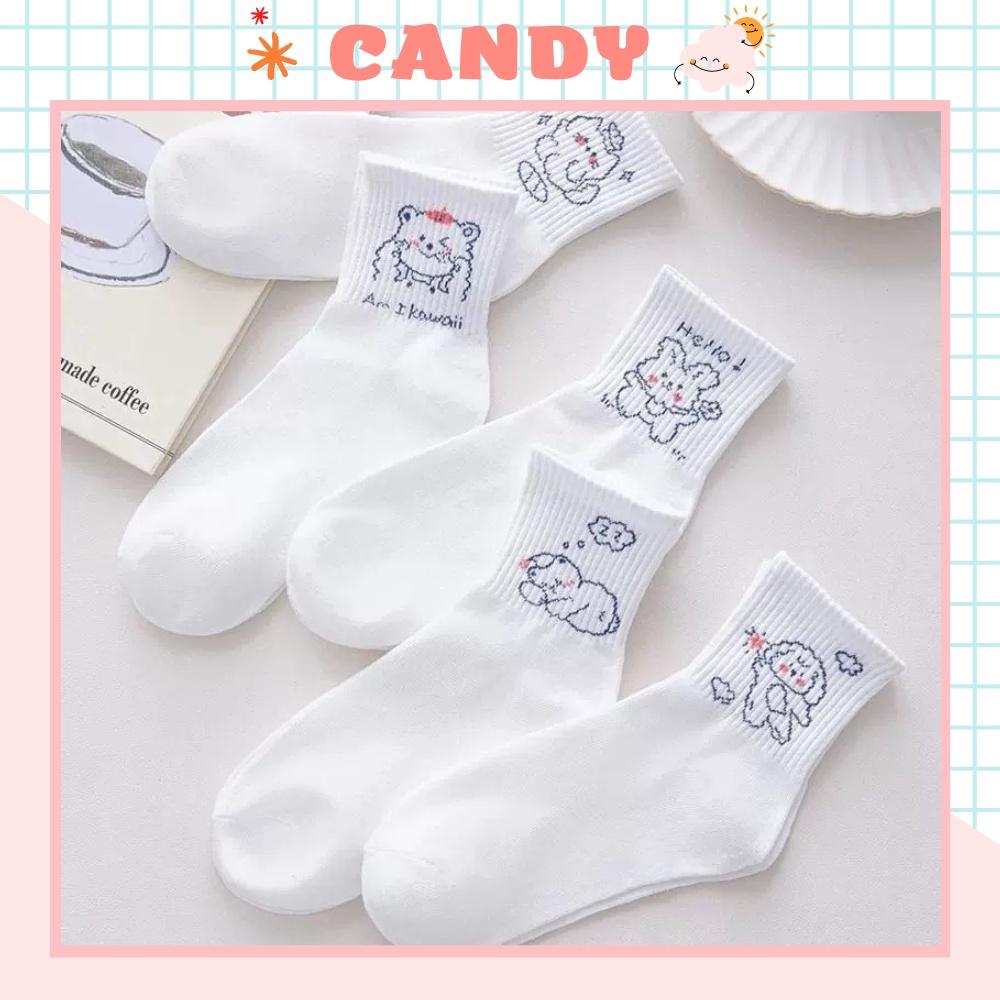 Tất nữ vớ nữ cổ trung, Set 5 đôi tất nữ phong cách Hàn Quốc, co dãn 4 chiều, chất liệu cotton Hàn cao cấp TN-196