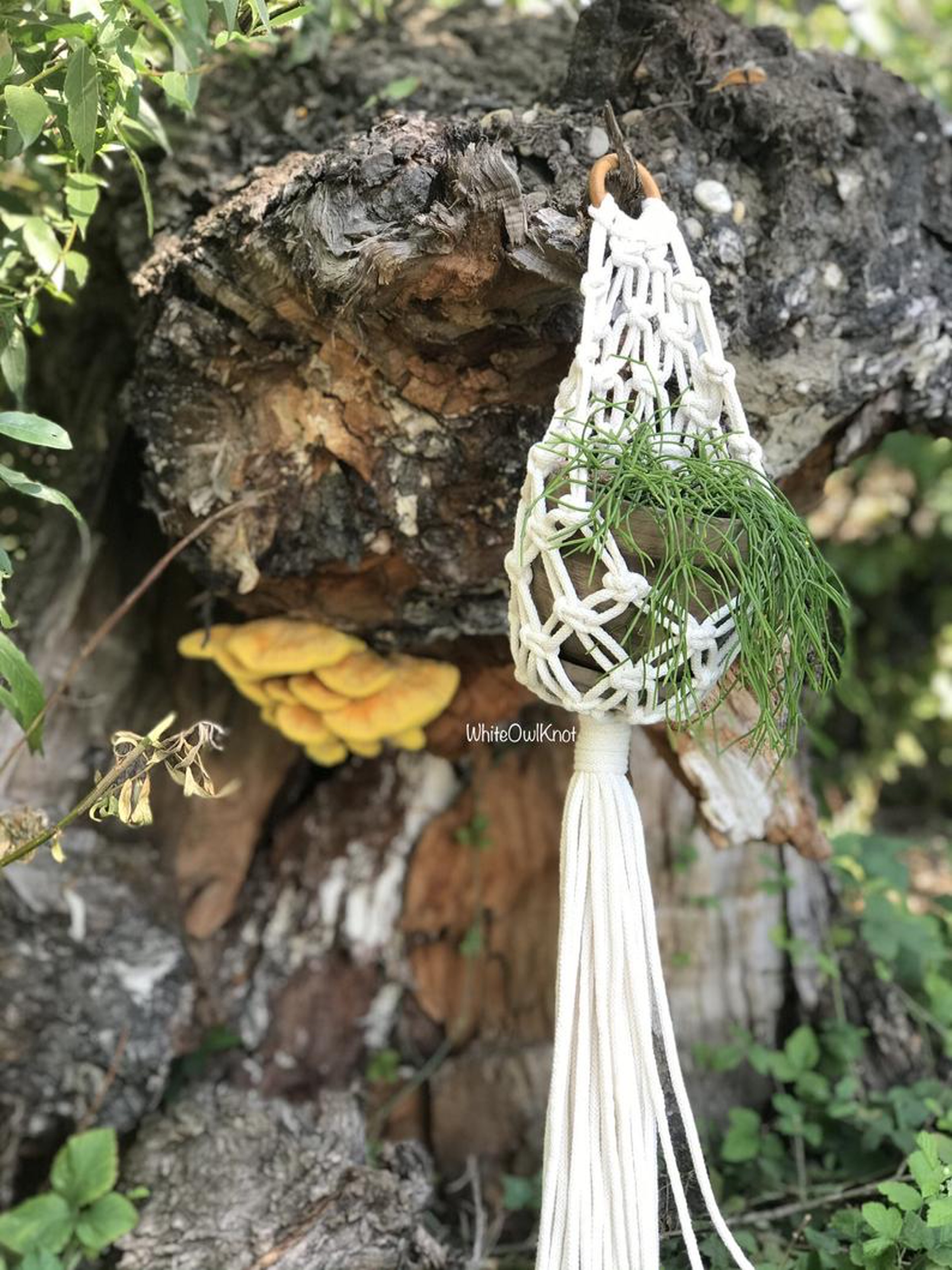 Giỏ Macrame treo chậu cây cảnh, trang trí treo tường kết hợp vòng gỗ nâu. Phong cách Boho. GTT17321