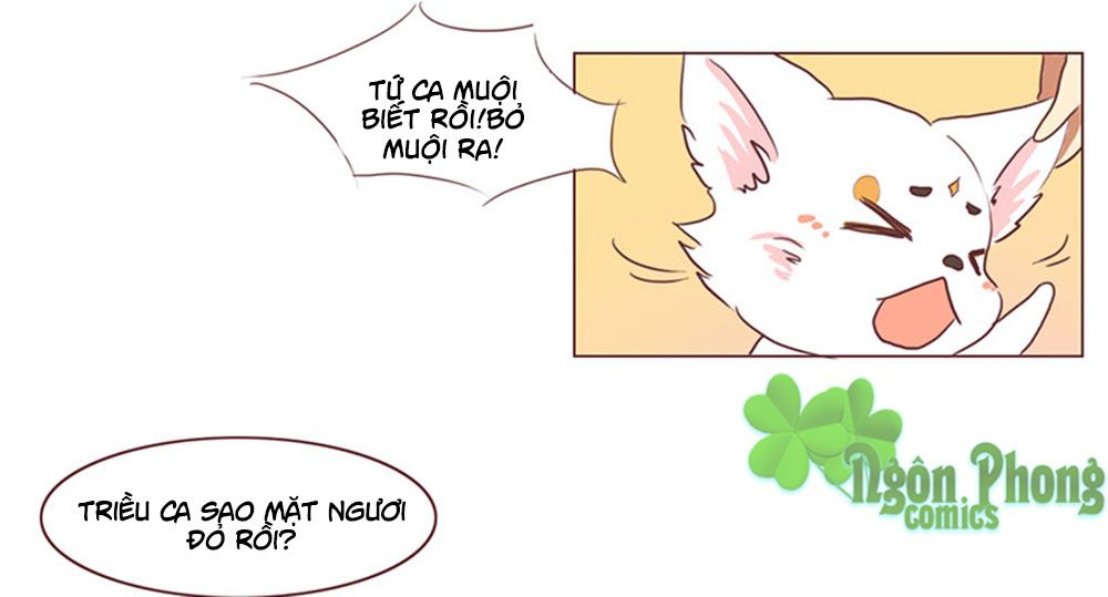 mẫu phi đuôi của người lộ ra rồi kìa chapter 36 15