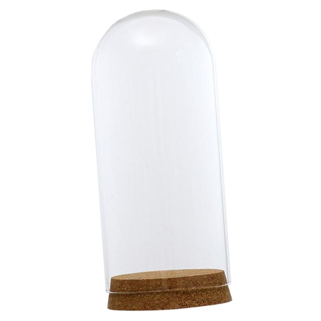2xGlass Cover Landscape Terrarium Container Lid Vase Bottle 8x18cm