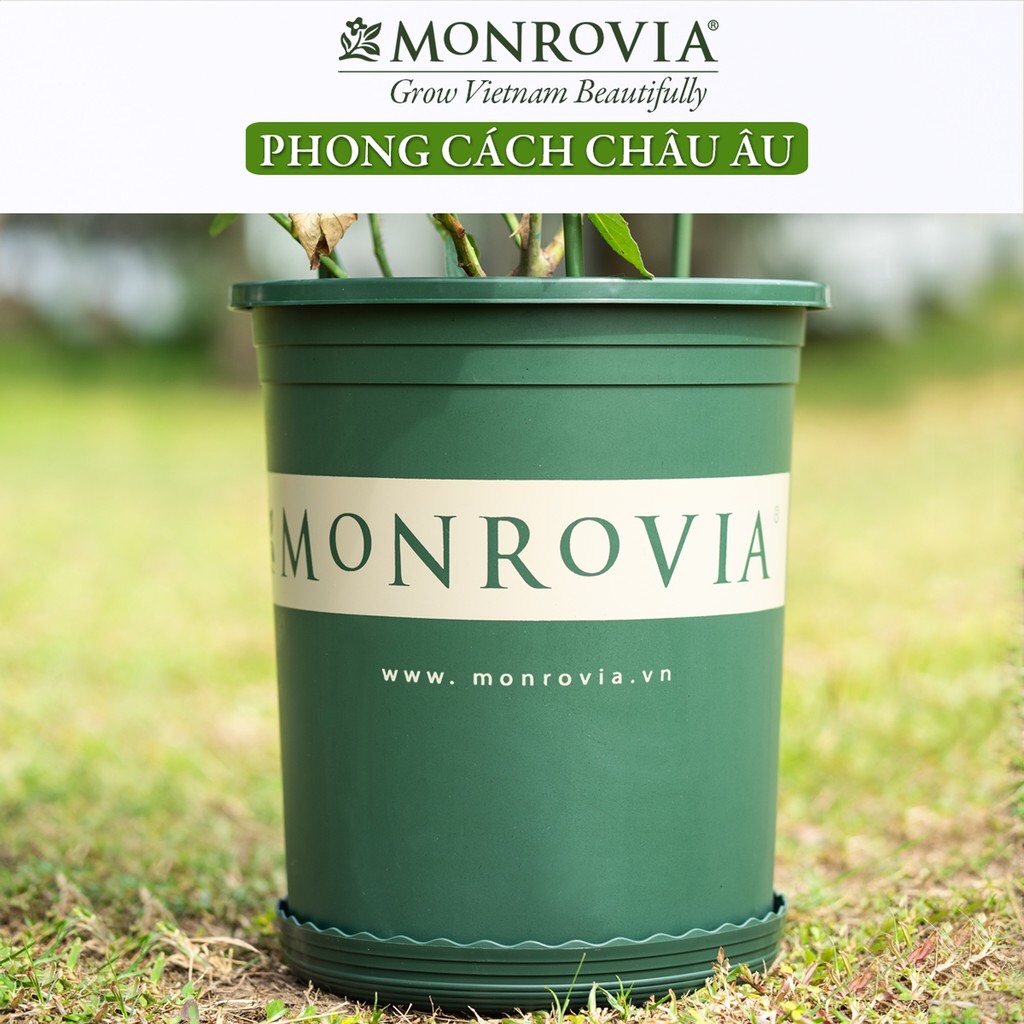 CHẬU NHƯẠ TRỒNG CÂY MONROVIA HÀNG NHẬP ĐỦ SIZE