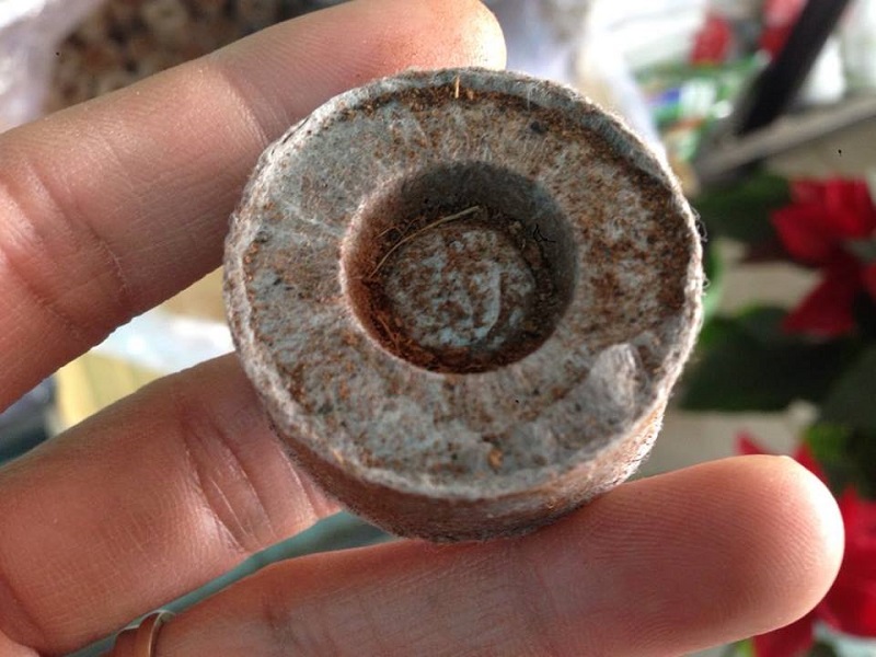 100 viên nén Phước Lộc-Tiền Giang và 100 rọ nhựa thủy canh 6.5x6.5cm
