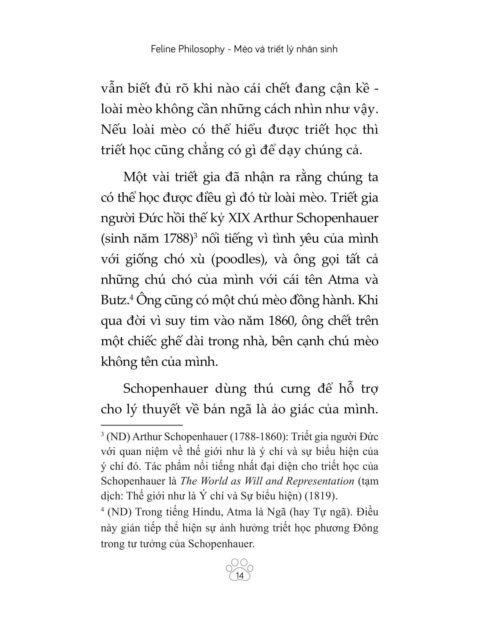 Mèo Và Triết Lý Nhân Sinh
