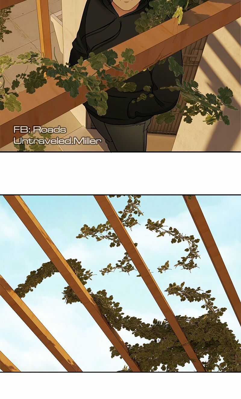 nửa đêm ở poppy land chapter 33 22