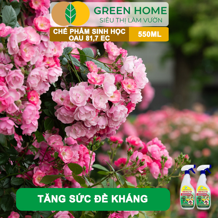 Chế Phẩm Trừ Bệnh Sinh Học OAU 81.7 EC GreenHome, Chai 550Ml, Đặc Trị Và Phòng Ngừa Các Loại Nấm Bệnh Cho Cây Hoa Và Cây Kiểng
