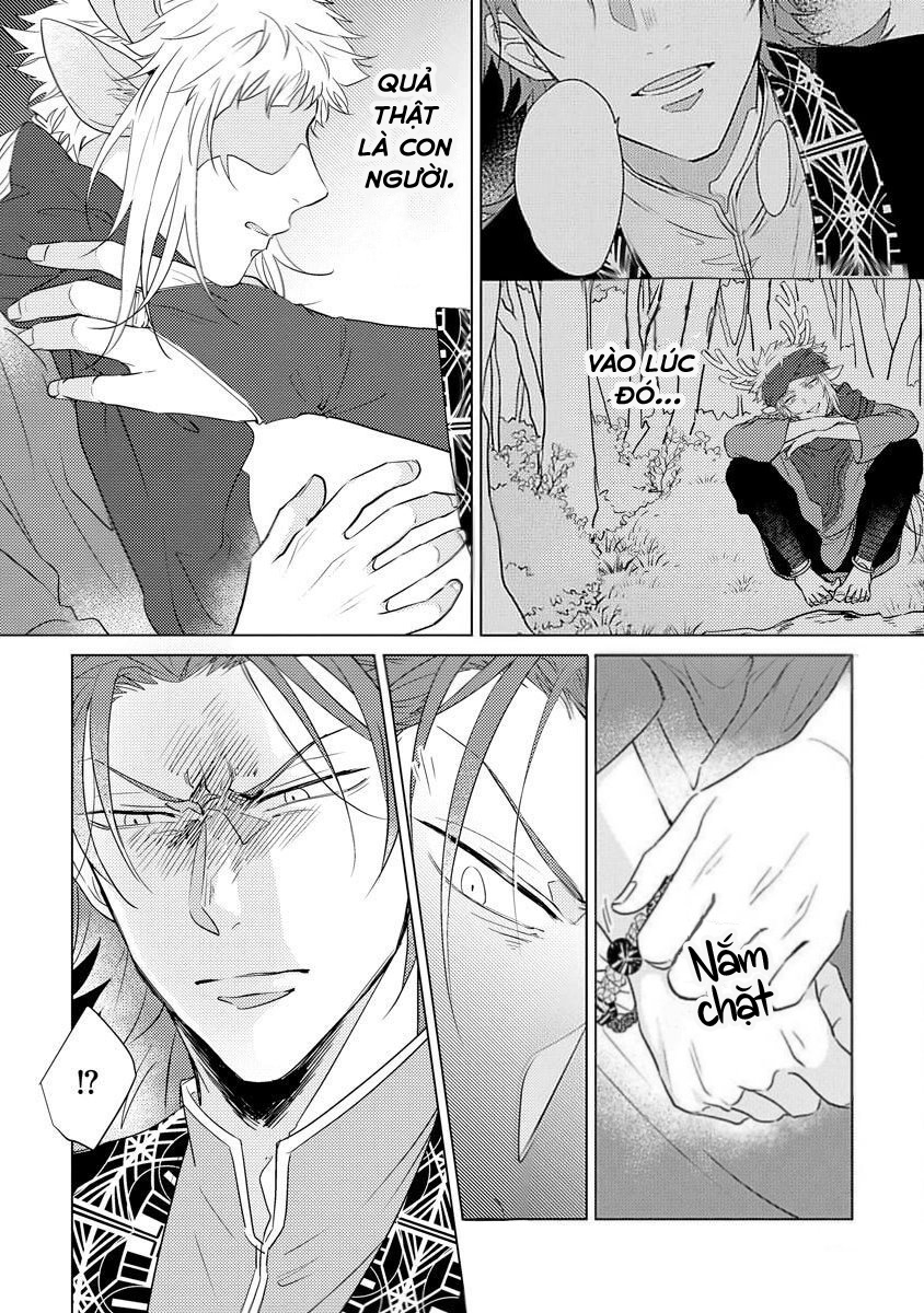 gặp gỡ em, thú nhân màu chàm trắng chapter 1 14