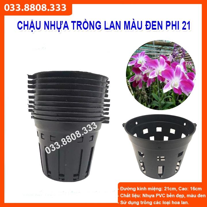 5 CHẬU NHỰA TRỒNG LAN ĐẸP PHI 21 - CHẬU BỀN ĐẸP. CHUYÊN TRỒNG LAN -VTNN - CTC