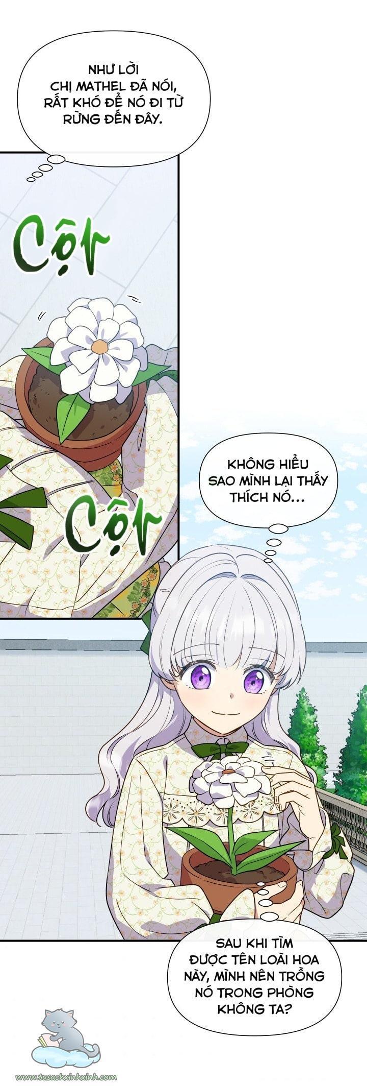 công nương khế ước của gia tộc công tước quái vật chapter 132 8