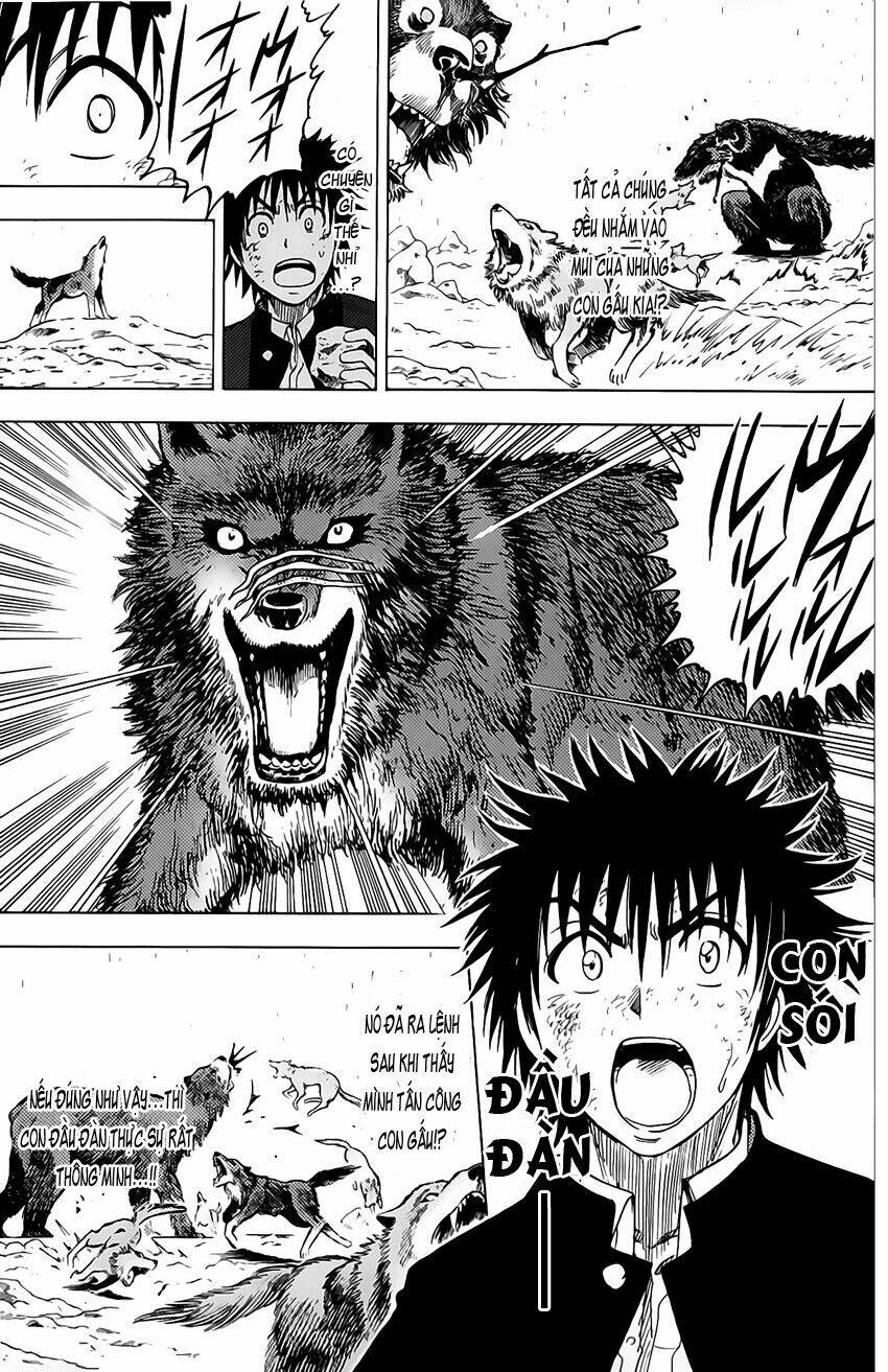 cage of eden chapter 45 16