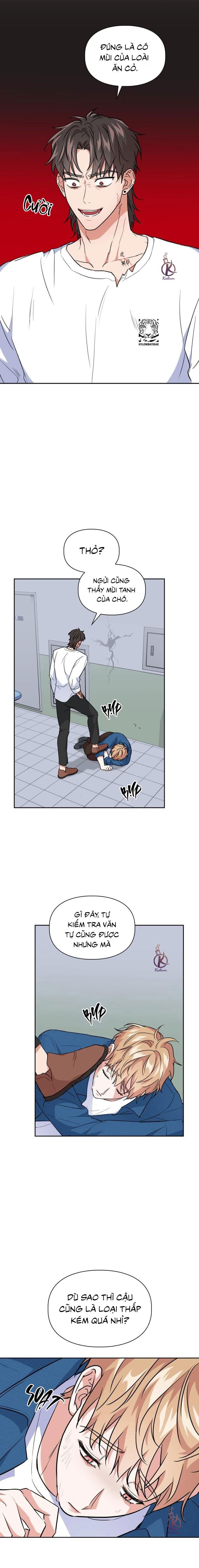 mồi nhử chapter 58 14