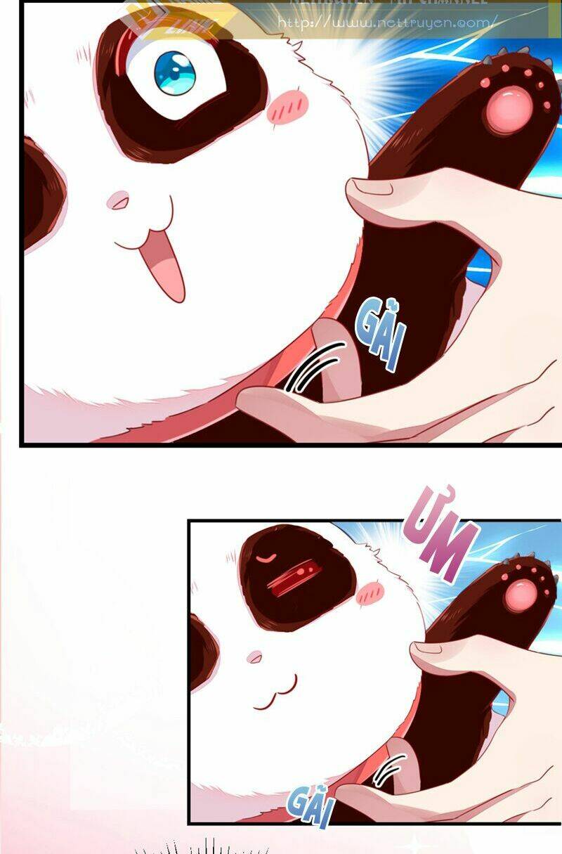 thiên thần gấu trúc muốn được ôm chapter 25 11
