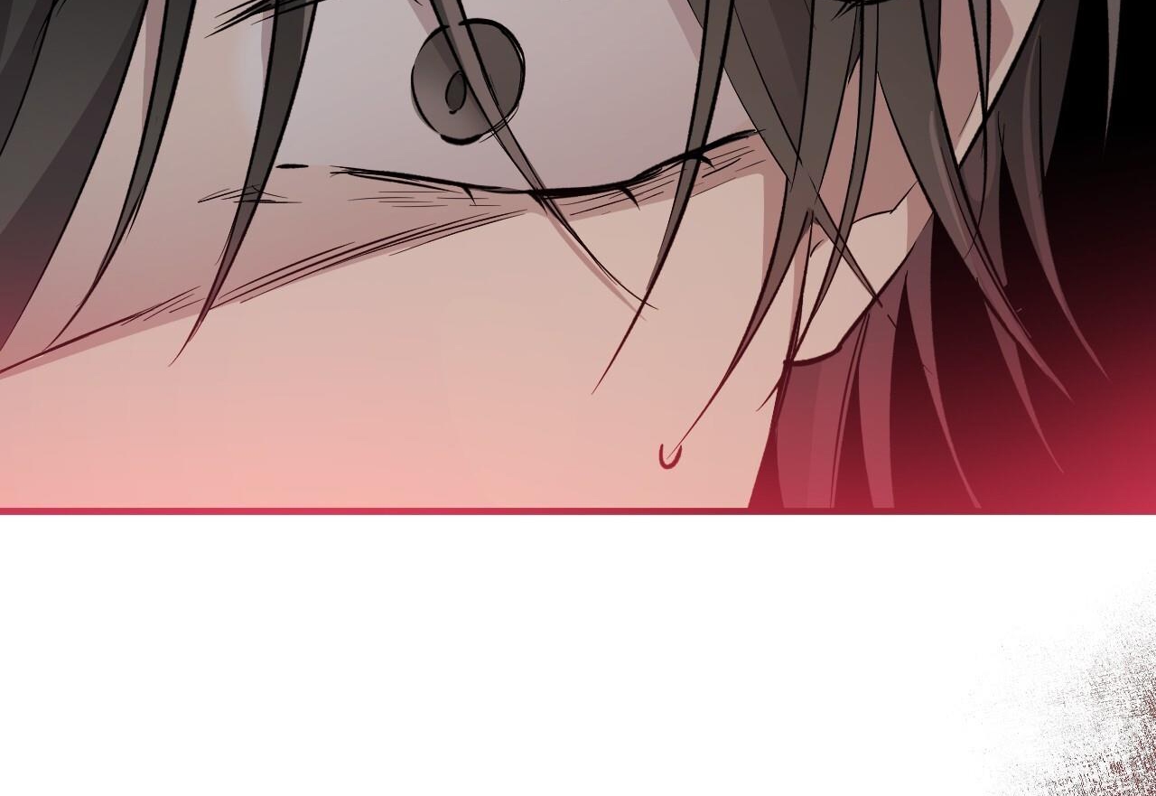 đàn thỏ của habibi chapter 59 204