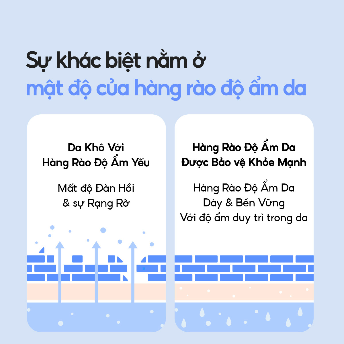 Kem Dưỡng Ẩm Dành Cho Da Thường Và Da Khô Laneige Water Bank Blue HA Cream Dry 50ml