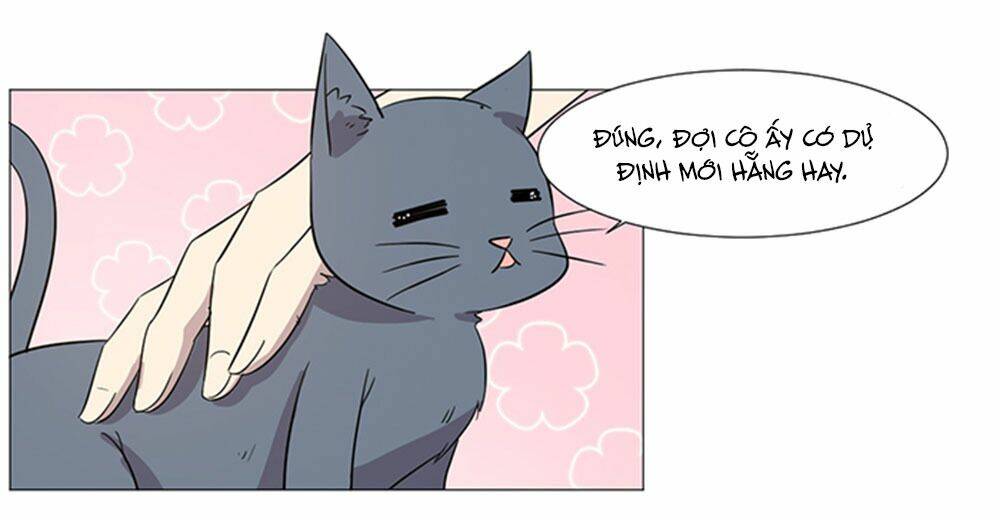 hai chú mèo totem chapter 37 20