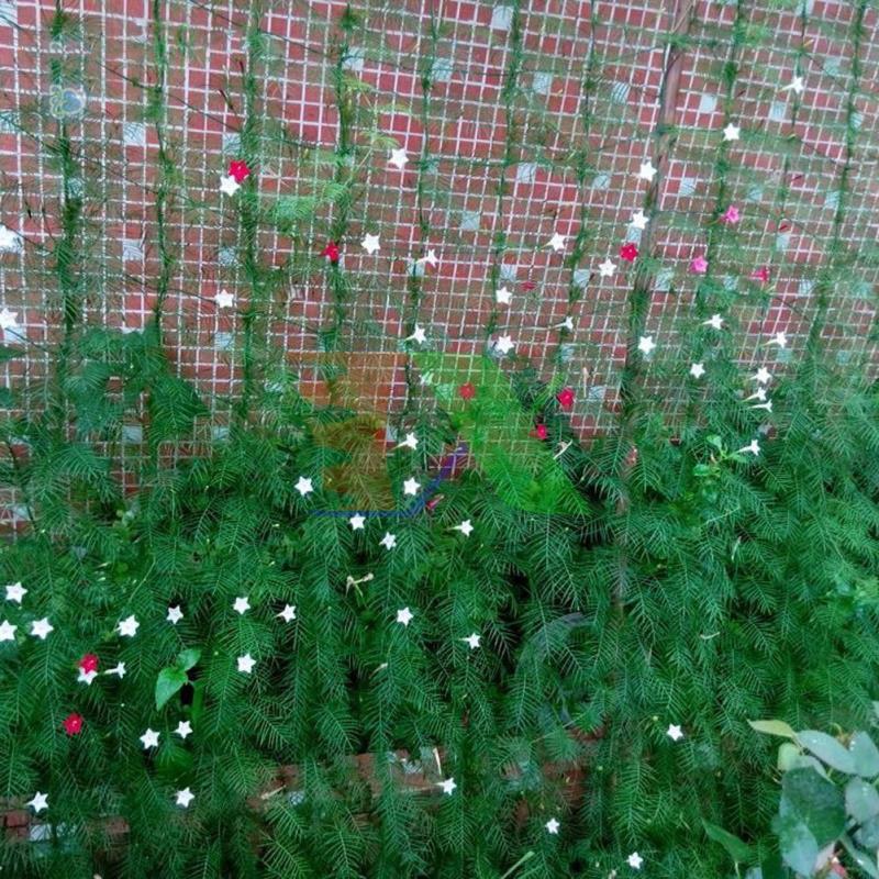 Lưới làm giàn dây leo lưới làm giàn cây Ollie net