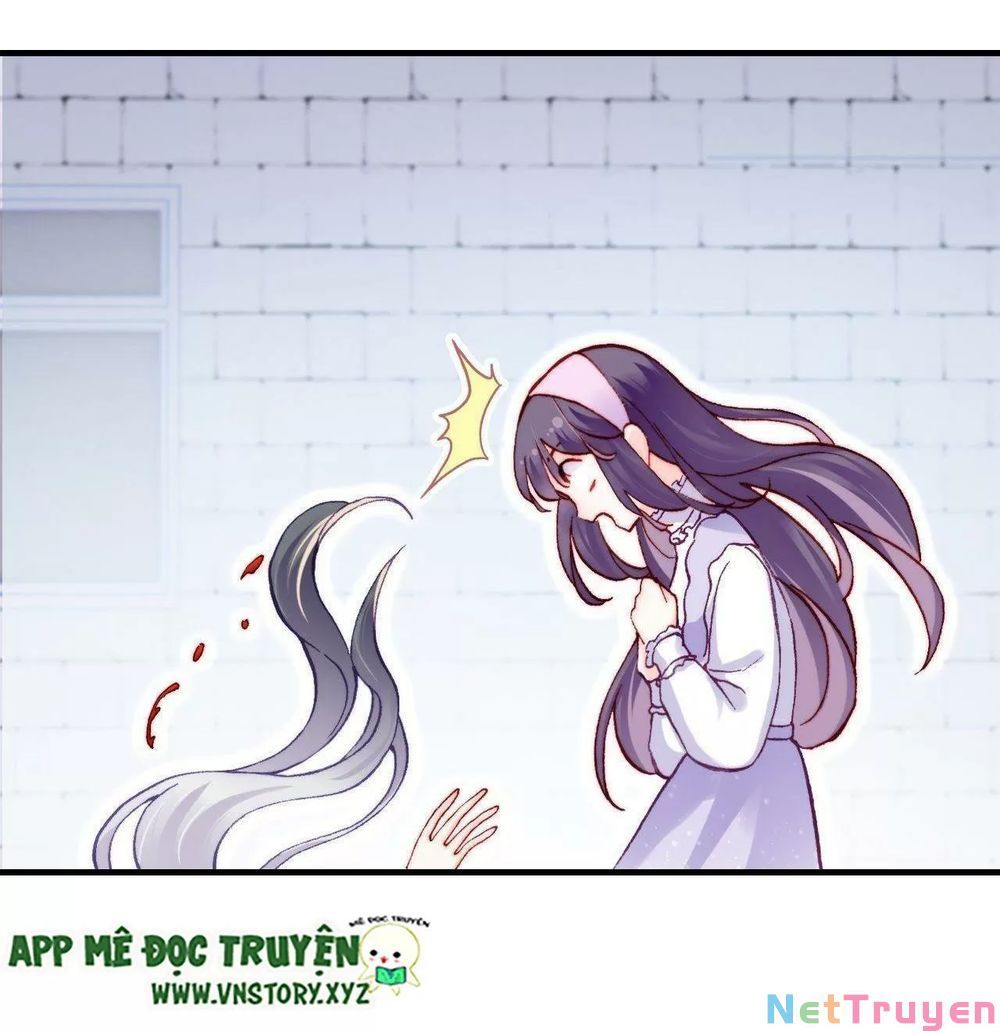 lại bị bệnh chiều chuộng quấn lấy chapter 62 37