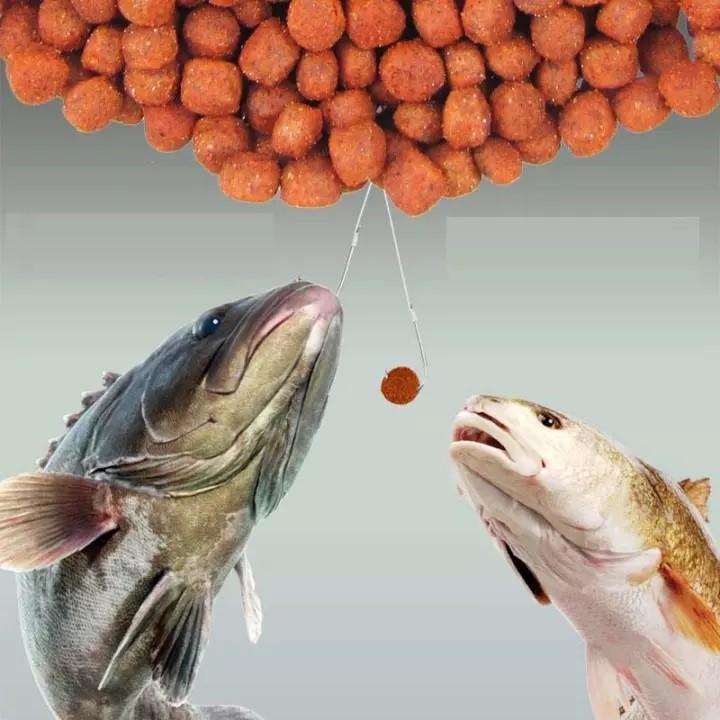 Mồi Câu Cá Dạng Hạt Câu TRẮM,CHÉP,TRÔI,DIẾC,RÔ PHI... - SANAMI FISHING - nhạy cá,giá thành rẻ,tiện lợi,