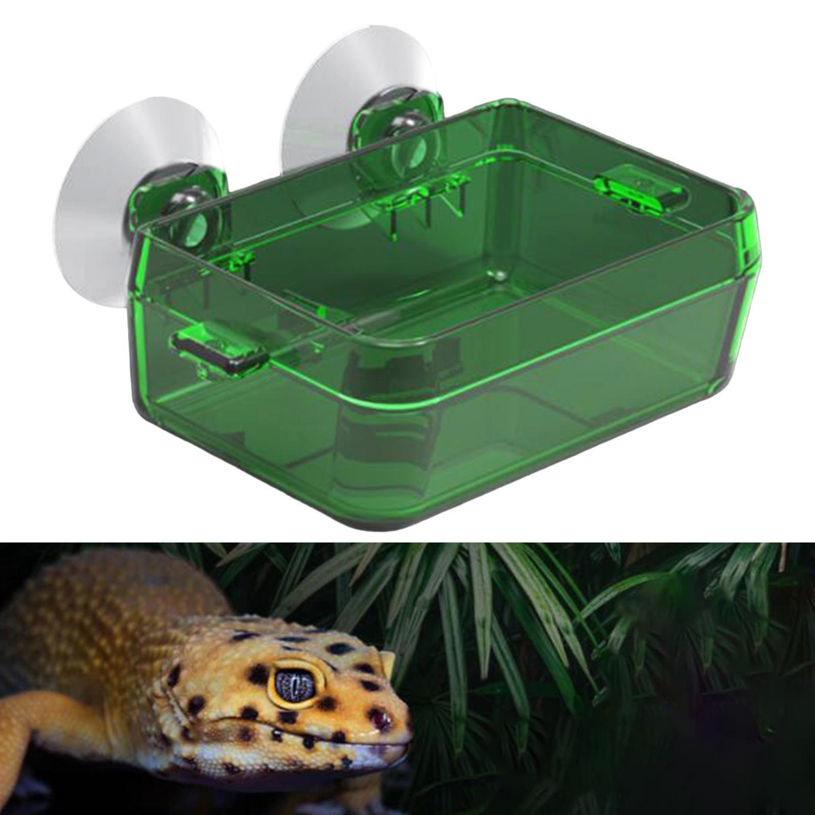 Suction Cup Reptile Feeder Dish Water Food Bowl Basin for Chameleon