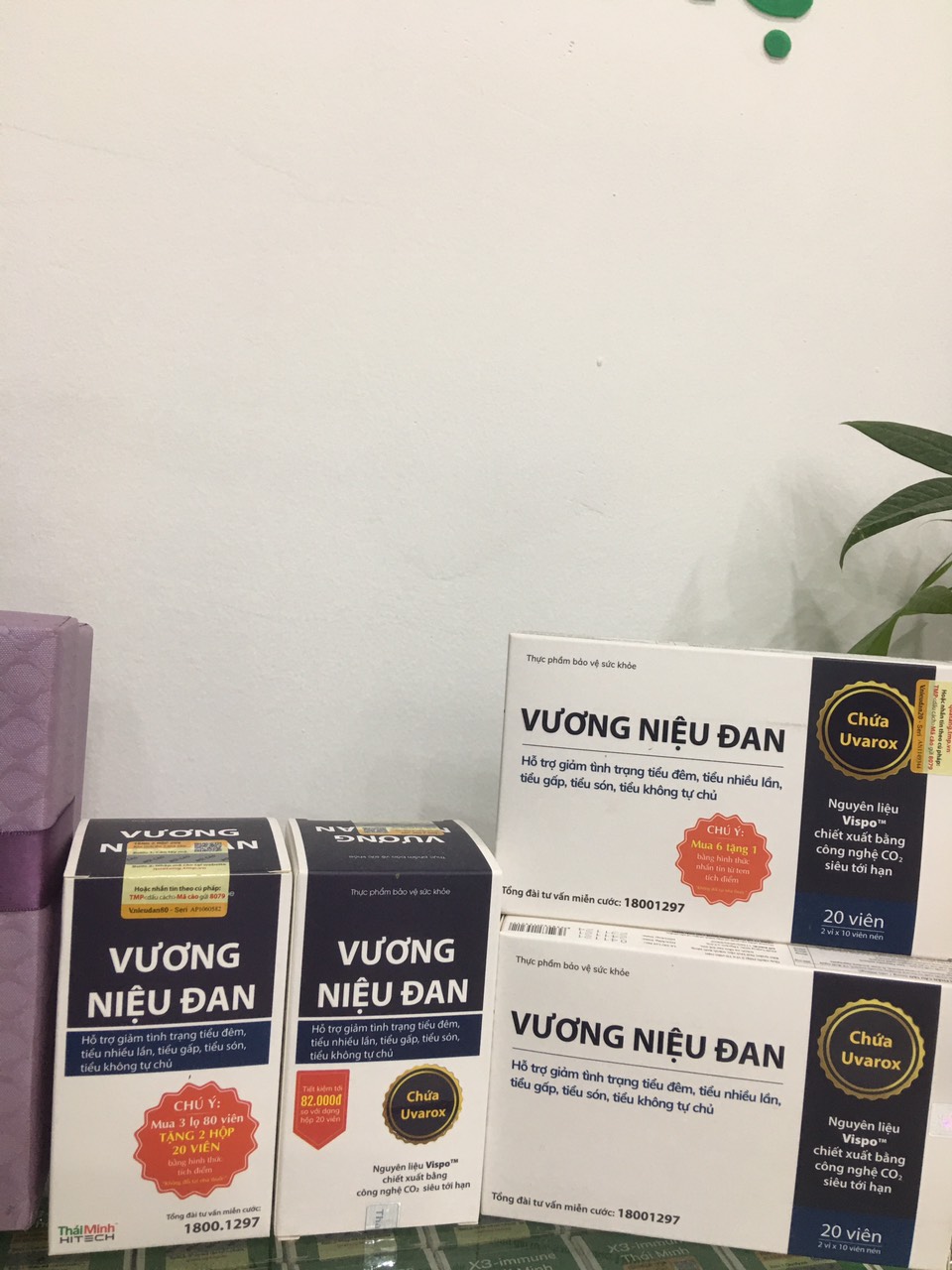Vương Niệu Đan- giảm kích thích bàng quang, giảm tiểu đêm