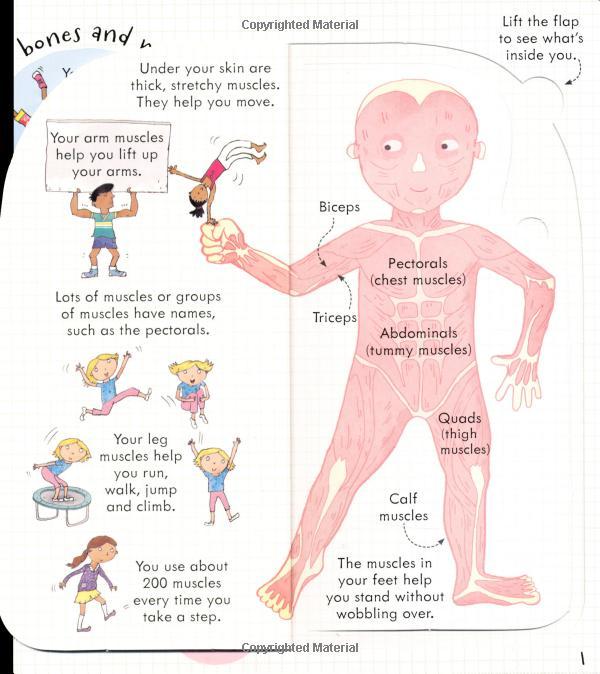 Usborne Look inside Your Body
