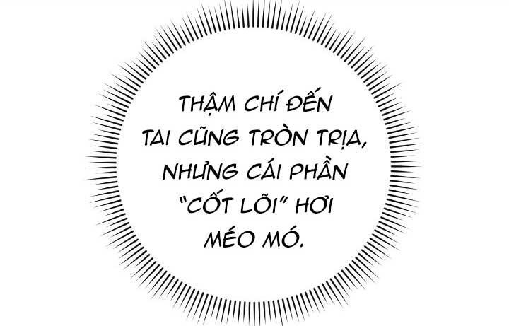 vùng đặc quyền tình yêu chapter 3 56